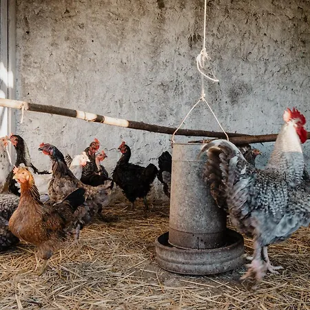 Casa Da Cerca-suite Aconchegante Com Piscina Bed & Breakfast