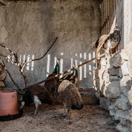 住宿加早餐酒店 Casa Da Cerca-suite Aconchegante Com Piscina 3*